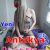 Hatay antakya escort melis - Image 1 Hatay antakya escort melis - Image 1
