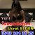 İskenderun seksi escort Alina - Image 3 İskenderun seksi escort Alina - Image 3