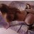 İskenderun Escort Bayan DURU - Image 3 İskenderun Escort Bayan DURU - Image 3
