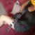 İskenderun yeni escort FİLİZ - Image 3